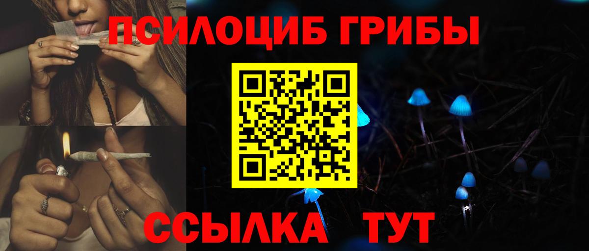 Камышлов  Галлюциногенные грибы Psilocybine cubensis  Галлюциногенные грибы Psilocybine cubensis  Вход с VPN 